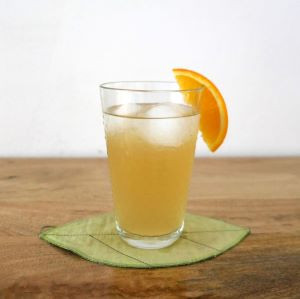 kombucha